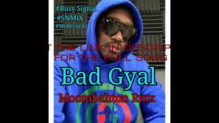 Busy Signal - Bad Gyal (Moombahton Remix) (Instrumental) (SNMiX) BPM 102