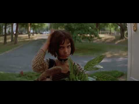 Leon The Professional