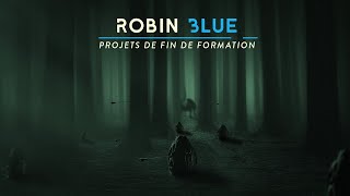La Promotion Robin Blue Présente Ses Projets De Fin De Formation 