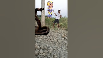 vir the robot boy | vir | robot boy | robo boy suit on |  #shorts  #vir