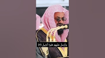تلاوة سورة الفيل لفضيلة الشيخ أ.د. سعود الشريم