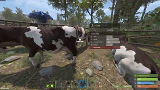 How To Get Animals To Breed Faster in Rust