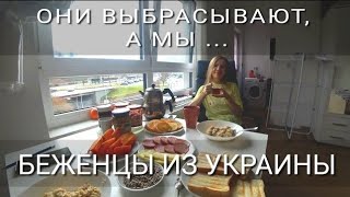 видео: Германия, глинтвейн, Сосиски и заработок на мусоре.. Кирххайм-унтер-Текк картинка: Германия, глинтвейн, Сосиски и заработок на мусоре.. Кирххайм-унтер-Текк