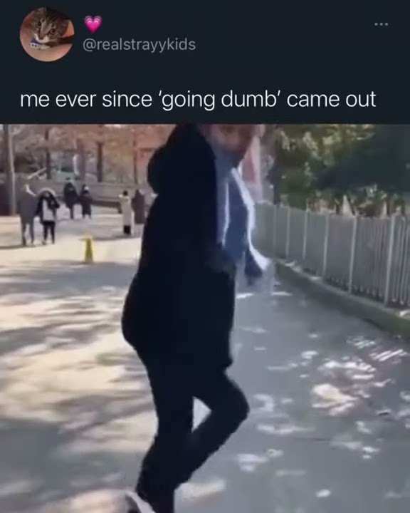 going dumb - skz