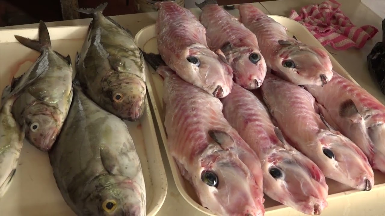 FISH VENDORS EXPRESS RESISTANCE TO RELOCATION PLANS