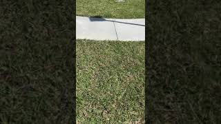 TruGreen update