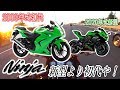 【納車】世間が250㏄4気筒新型Ninjaに沸く中、俺は初代を買ってきた