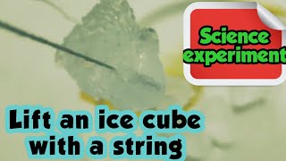 How to pick up ice cubes with a string | Lift an ice cube using thread | STEAM Activity | Science