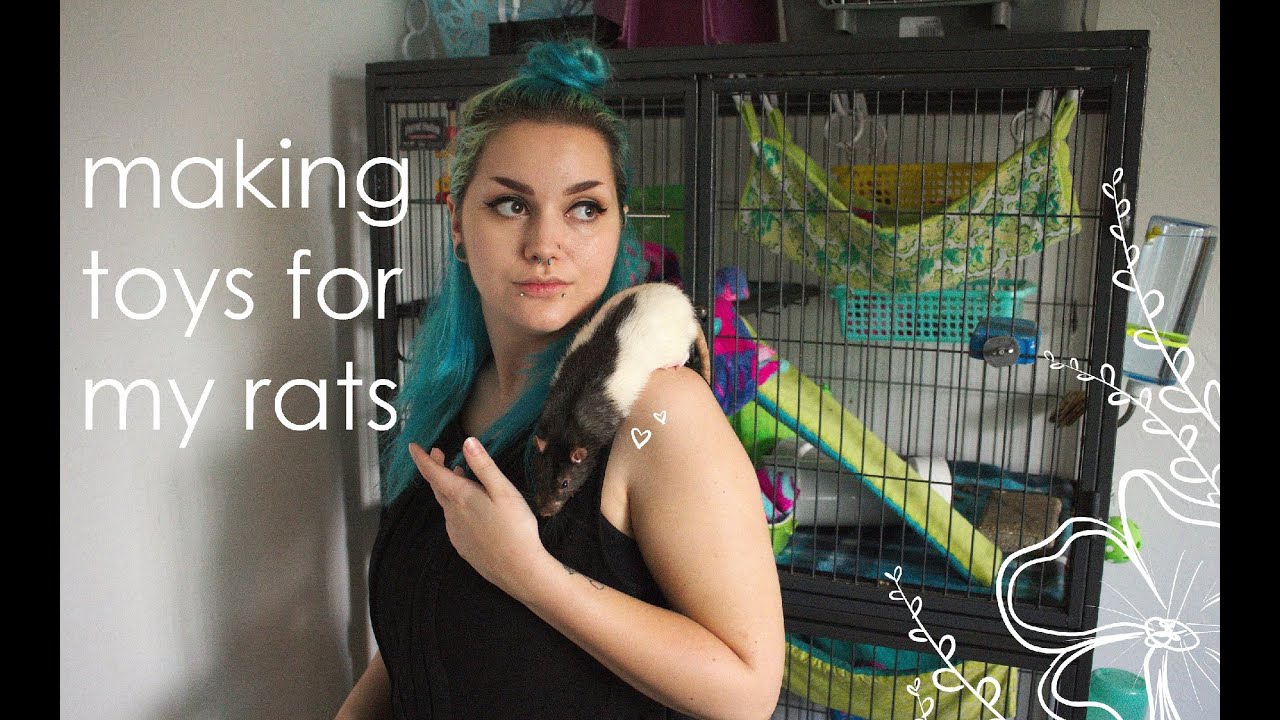 Giving My Rats Homemade Toys