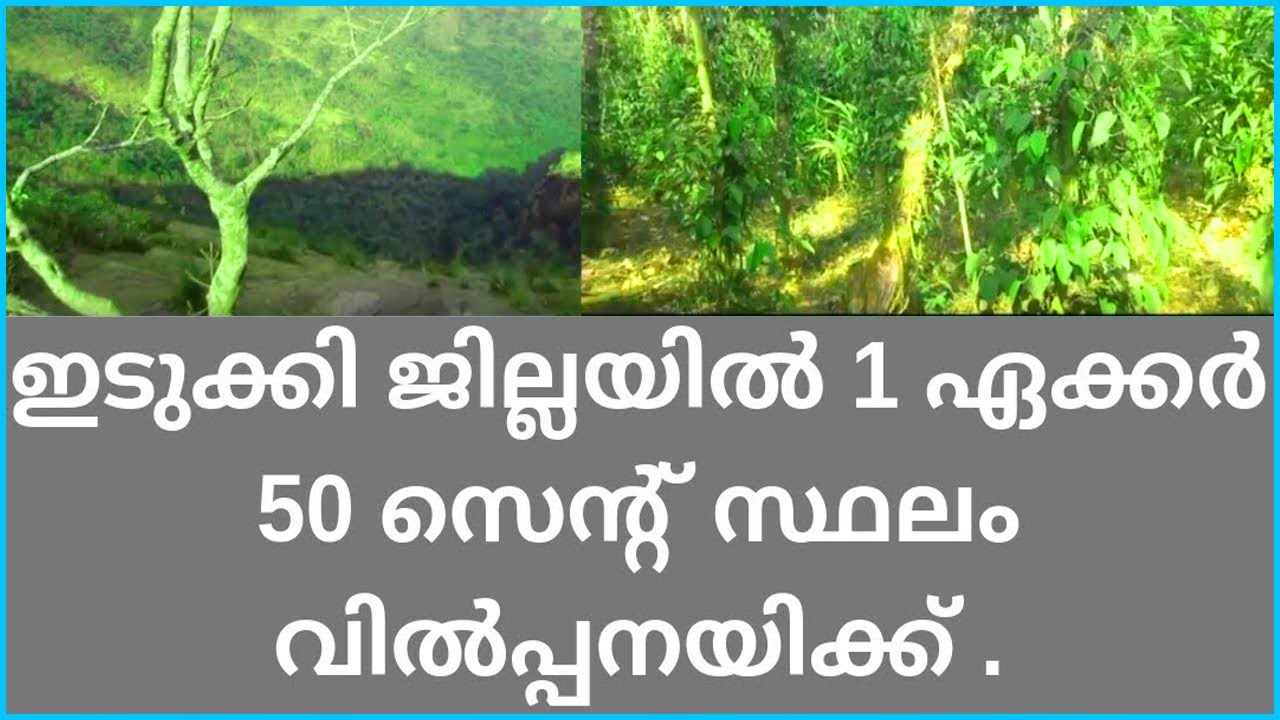 Land for sale in idukki olx properties in idukki BENNY IDKY 6 04