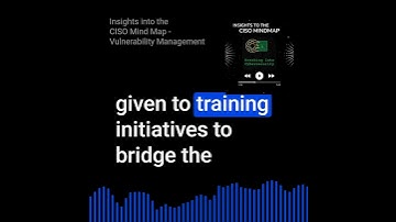 Insights into the CISO Mind Map - Vulnerability Management