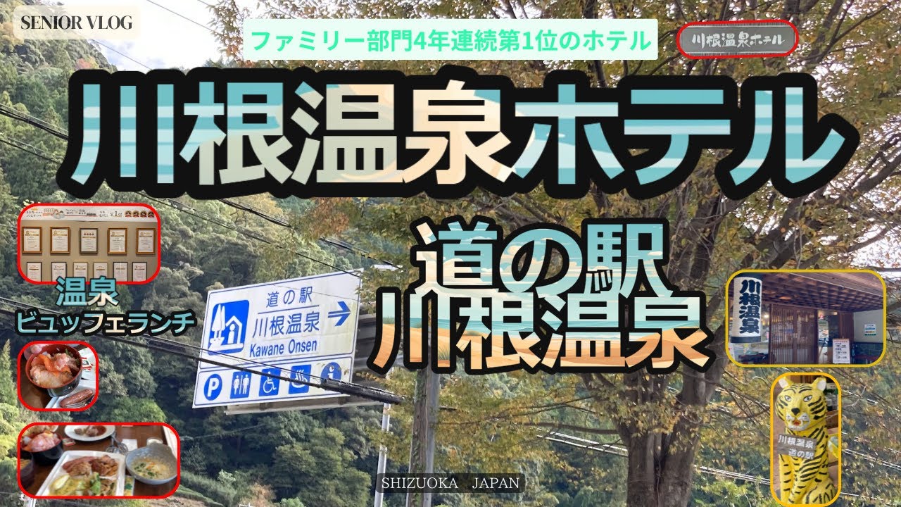 【川根温泉ホテル】ビュッフェランチと温泉　ファミリー部門1位のホテル川根温泉道の駅　シイタケあり温泉あり