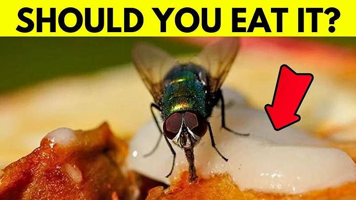 What Really Happens When A Fly Lands On Your Food? - DayDayNews