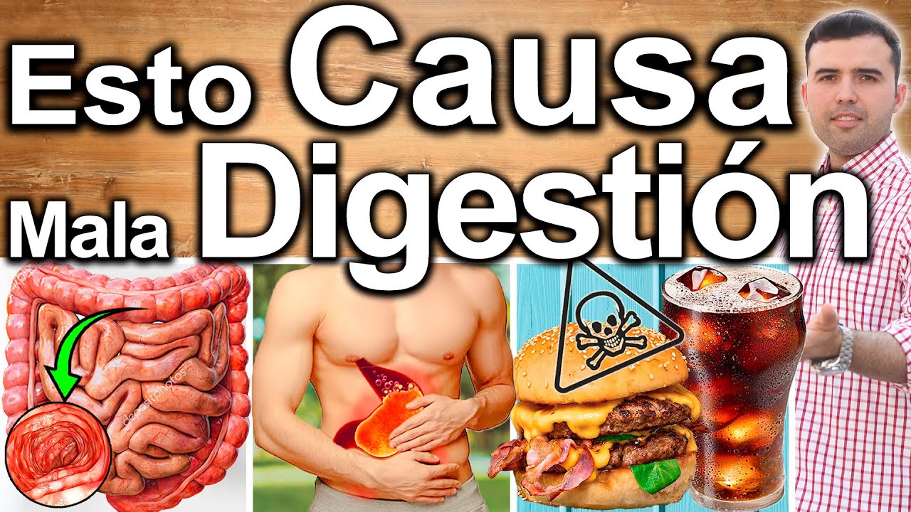 MALA DIGESTIÓN Causas Escondidas Que Debes Conocer Hábitos Y