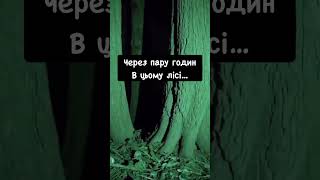 Та я шарю в ГРИБАХ !