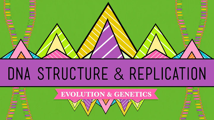 DNA Structure and Replication: Crash Course Biology #10