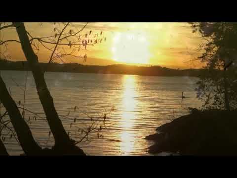 The Light (Robert