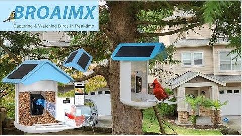 BROAIMX Smart Bird Feeder | Identify Thousands Of Birds!