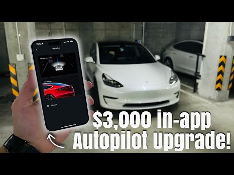 DON'T Buy A Used Tesla Until You See This!