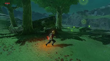 [DAY 24] of finding one korok seed everyday until Botw2 comes out