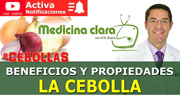 ¿Qué tipo de cebolla es más saludable?