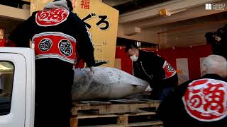 西宮神社でマグロ奉納