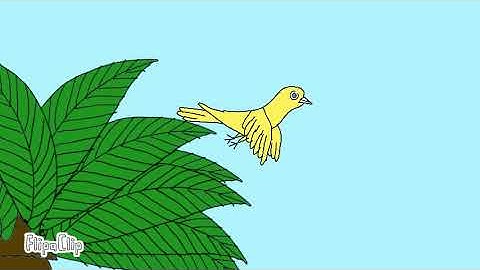 Flipaclip animation video the flying bird HD