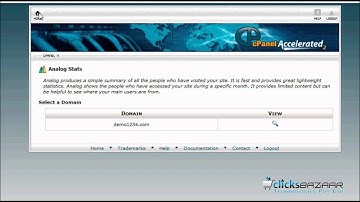 How to view your website stats in cPanel