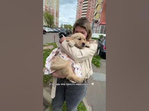 Фуфик😅 - YouTube
