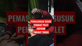 Pemasangan Susuk Ekstrim peletekstrim peletdanuh susukpelet peletinstan