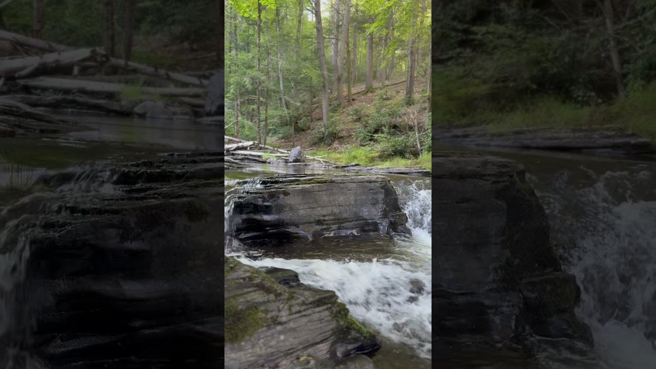 Relaxing Creek sounds 