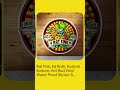Rat Fink, Ed Roth, Kustom Kulture, Hot Rod Vinyl Water Proof Sticker 5" 2-Pack
