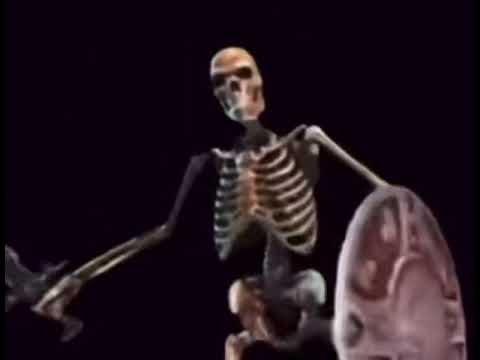 skeleton banging shield memes 
