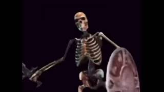 Skeleton Banging Shield Memes