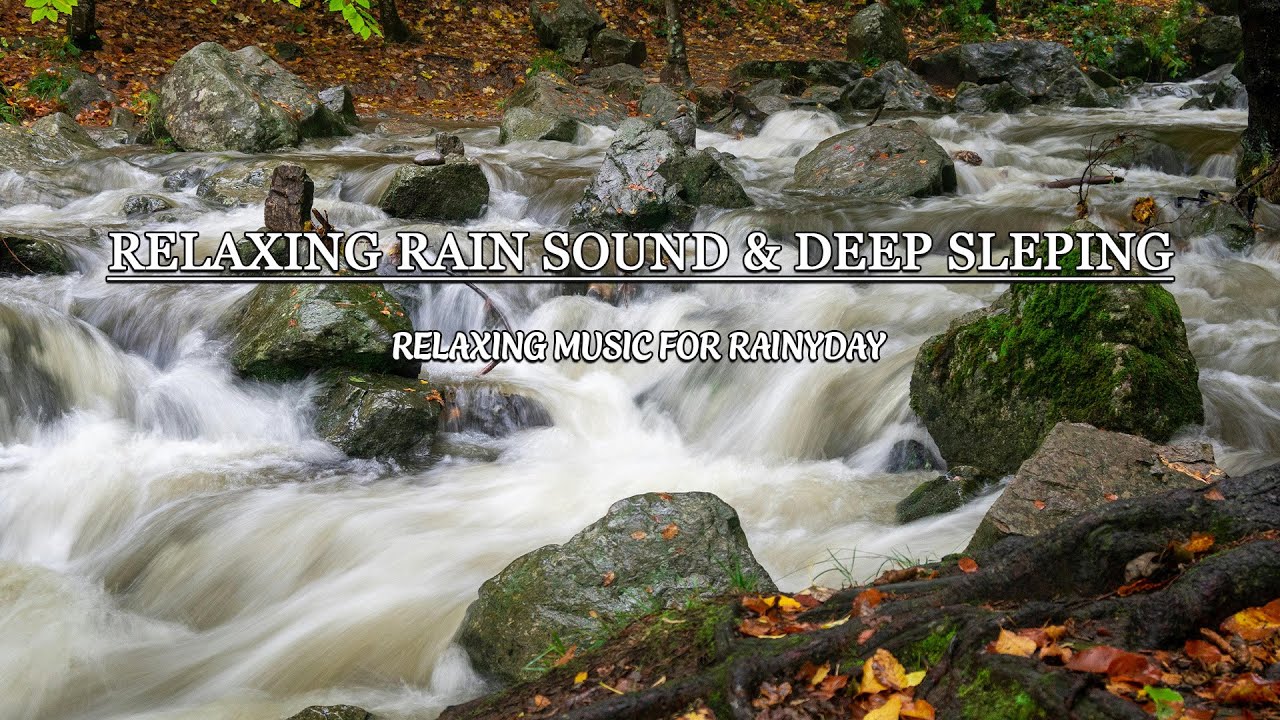 Calm Your Mind with Rain Sounds - Relaxing Bedroom Rain for Deep Sleep ...
