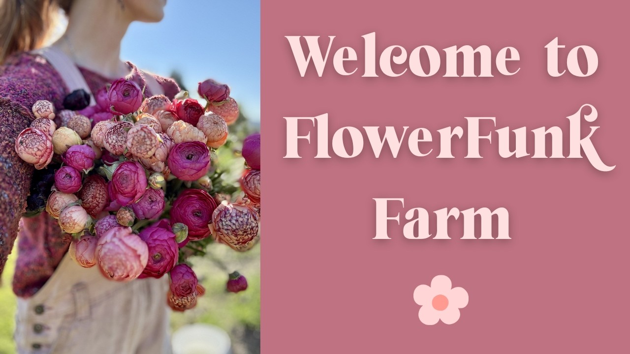 Restarting A Flower Farm!