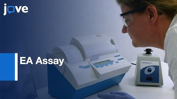 EA Assay for Blood Endotoxemia Detection | Protocol Preview
