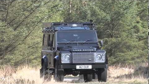 An Introduction to Nocturnal Wildlife Tours in Dumfries and Galloway