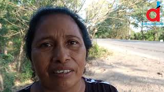 Honduras Es La Época Del Champer Y Esta Familia Sabe Cómo Aprovechar Su Abundancia En Olanchito