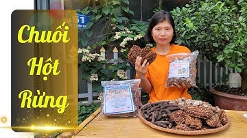 Chuối Hột Rừng Giá Bao Nhiêu | Có Mấy Loại Chuối Hột Ngâm Rượu #chuoihotrunggiabaonhieu