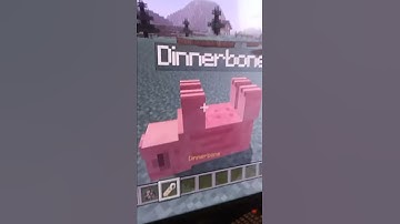 Minecraft bugs/glitches Ep.1(Dinnerbone)