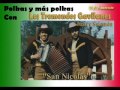 Los Tremendos Gavilanes -  San Nicolas (Shotis)