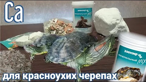 Кальций для красноухих черепах. Cа в чистом виде