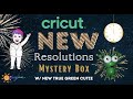 Cricut&#39;s New Resolutions Mystery Box, w /New True Green Cutie