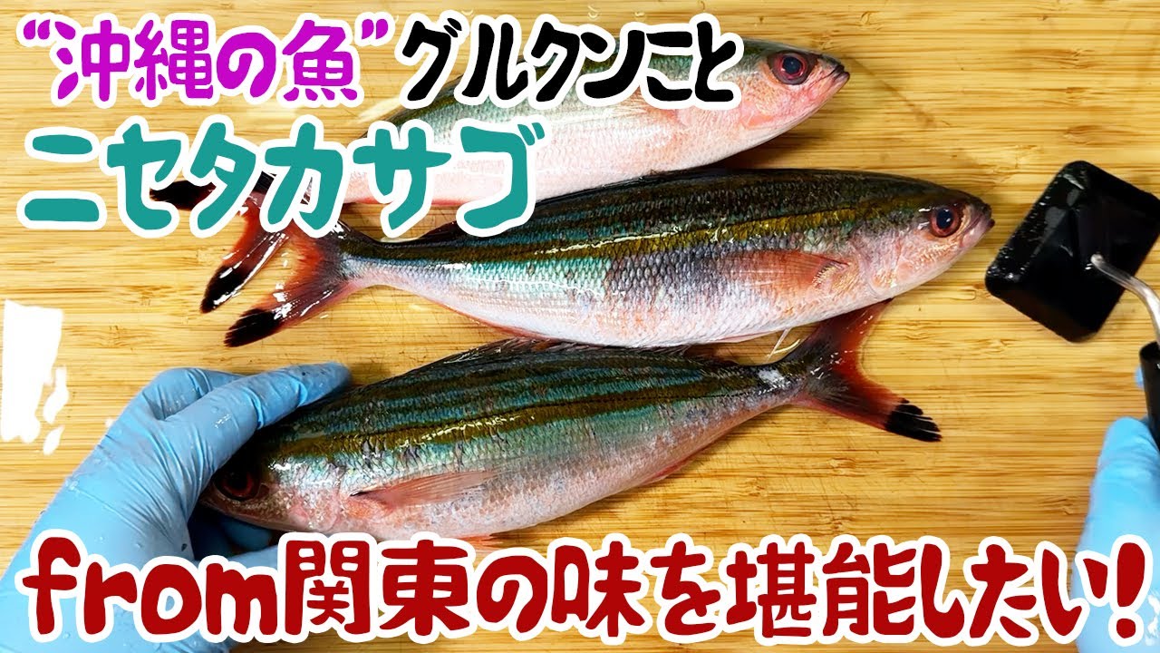 ”沖縄の魚”グルクンことニセタカサゴfrom関東の味を堪能したい! - YouTube
