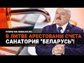 Литва ответила Лукашенко: АРЕСТОВАНЫ счета санатория "Беларусь"! На очереди "Беларуськалий"?