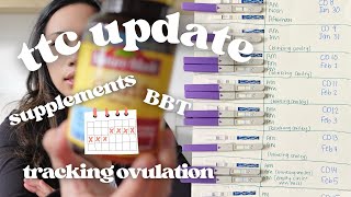 TTC UPDATE BABY #2 | tracking ovulation, fertility supplements, bbt chart
