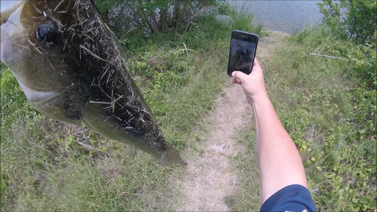 Learning to catch big fish