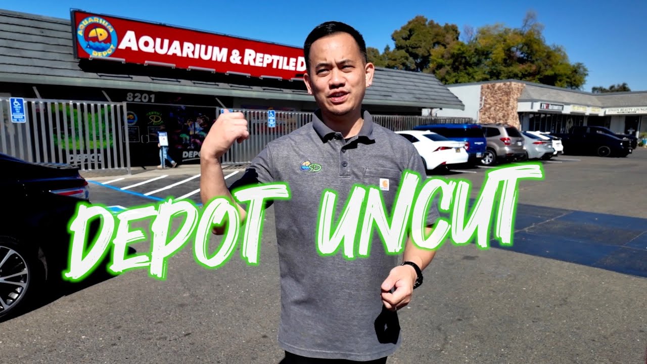 RARE & UNIQUE FISHES IN STOCK *UNCUT* | NEW HYGGER PRODUCTS | STORE UPGRADES AND UPDATES
