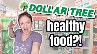 EXTREME BUDGET HEALTHY DOLLAR TREE GROCERY HAUL | Frugal Fit Mom